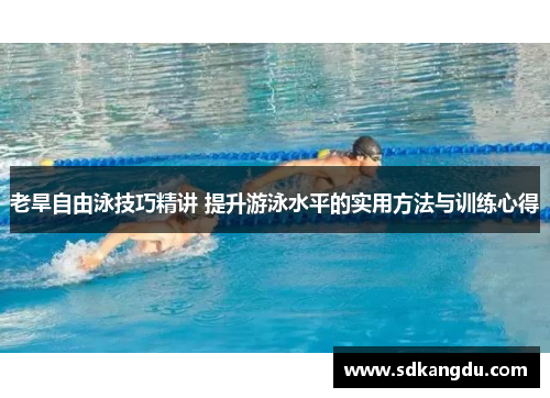 老旱自由泳技巧精讲 提升游泳水平的实用方法与训练心得