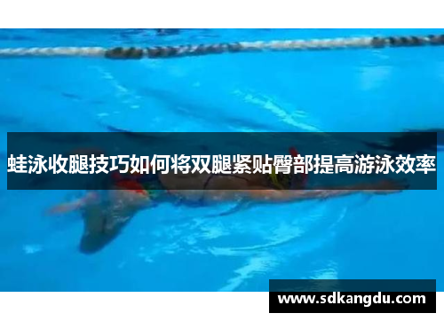 蛙泳收腿技巧如何将双腿紧贴臀部提高游泳效率