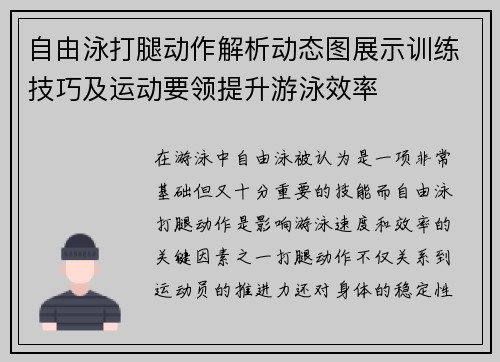 自由泳打腿动作解析动态图展示训练技巧及运动要领提升游泳效率